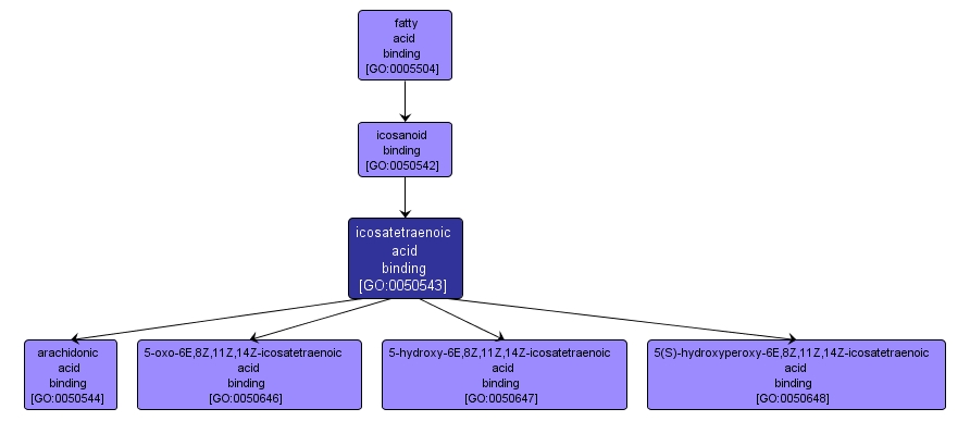 GO:0050543 - icosatetraenoic acid binding (interactive image map)