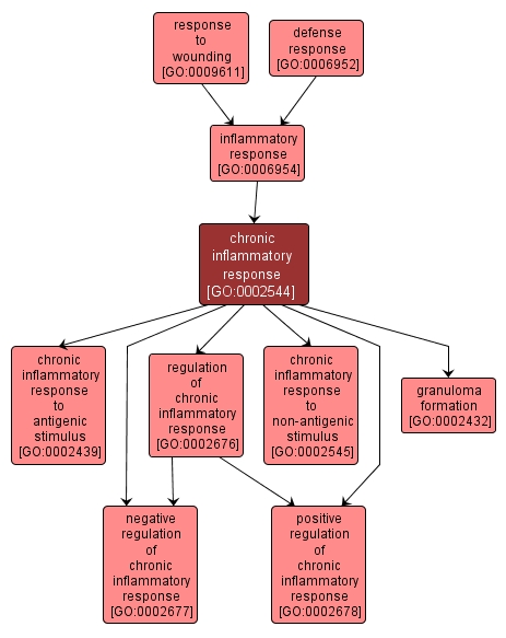 GO:0002544 - chronic inflammatory response (interactive image map)