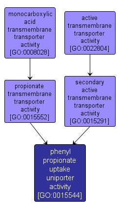 GO:0015544 - phenyl propionate uptake uniporter activity (interactive image map)