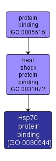 GO:0030544 - Hsp70 protein binding (interactive image map)