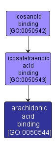 GO:0050544 - arachidonic acid binding (interactive image map)