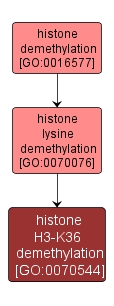 GO:0070544 - histone H3-K36 demethylation (interactive image map)