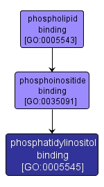 GO:0005545 - phosphatidylinositol binding (interactive image map)