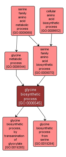 GO:0006545 - glycine biosynthetic process (interactive image map)