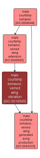 GO:0016545 - male courtship behavior, veined wing vibration (interactive image map)