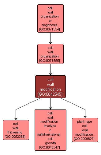 GO:0042545 - cell wall modification (interactive image map)