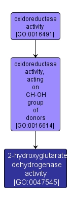 GO:0047545 - 2-hydroxyglutarate dehydrogenase activity (interactive image map)