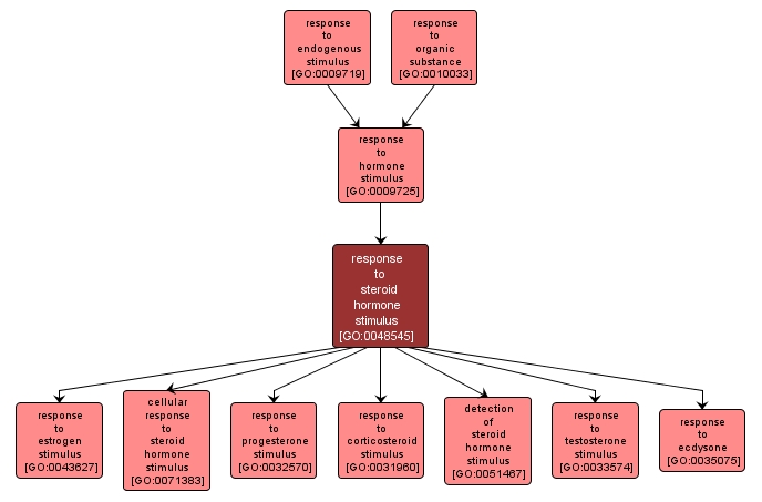 GO:0048545 - response to steroid hormone stimulus (interactive image map)