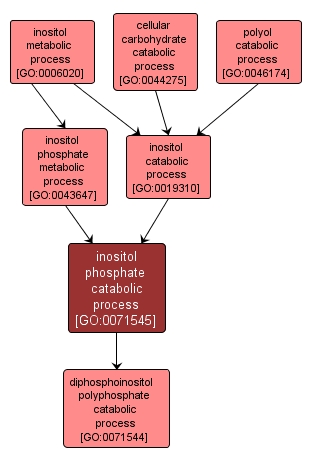 GO:0071545 - inositol phosphate catabolic process (interactive image map)