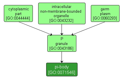 GO:0071546 - pi-body (interactive image map)