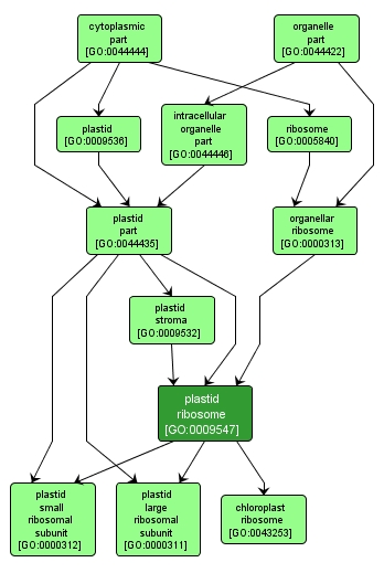 GO:0009547 - plastid ribosome (interactive image map)