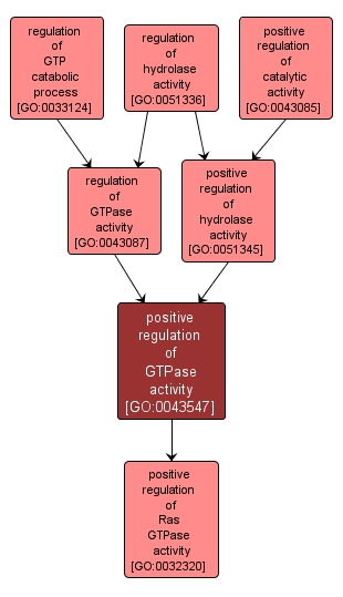 GO:0043547 - positive regulation of GTPase activity (interactive image map)