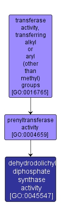 GO:0045547 - dehydrodolichyl diphosphate synthase activity (interactive image map)