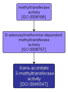 GO:0046547 - trans-aconitate 3-methyltransferase activity (interactive image map)