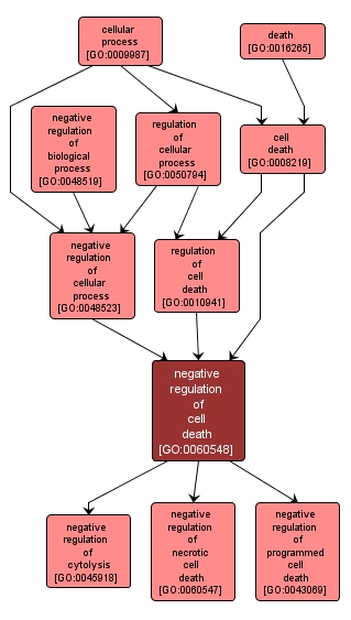 GO:0060548 - negative regulation of cell death (interactive image map)