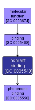 GO:0005549 - odorant binding (interactive image map)