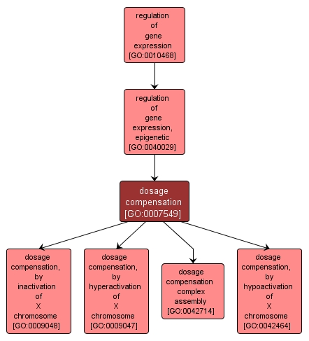 GO:0007549 - dosage compensation (interactive image map)