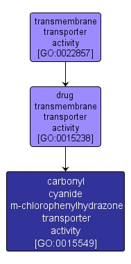GO:0015549 - carbonyl cyanide m-chlorophenylhydrazone transporter activity (interactive image map)