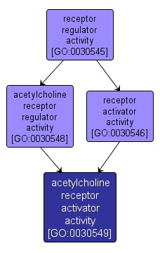 GO:0030549 - acetylcholine receptor activator activity (interactive image map)