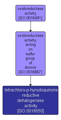 GO:0018550 - tetrachloro-p-hyrodoquinone reductive dehalogenase activity (interactive image map)