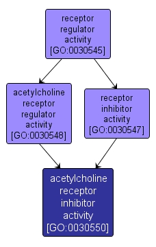 GO:0030550 - acetylcholine receptor inhibitor activity (interactive image map)