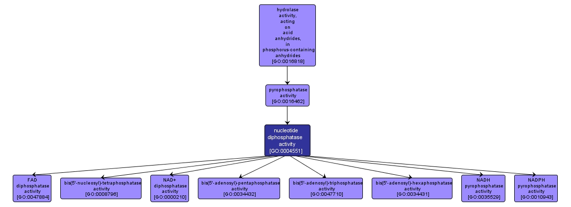 GO:0004551 - nucleotide diphosphatase activity (interactive image map)