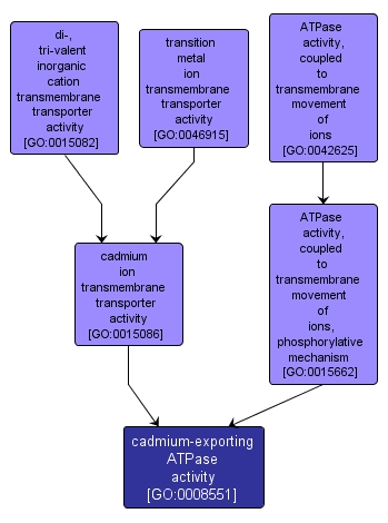 GO:0008551 - cadmium-exporting ATPase activity (interactive image map)