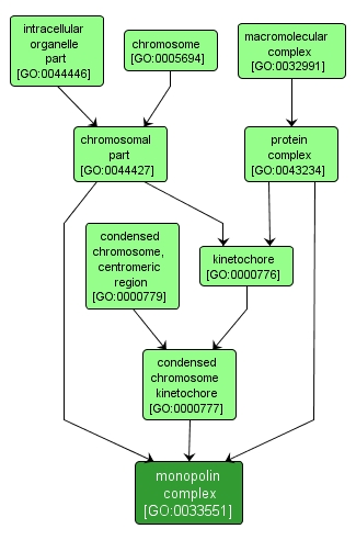 GO:0033551 - monopolin complex (interactive image map)