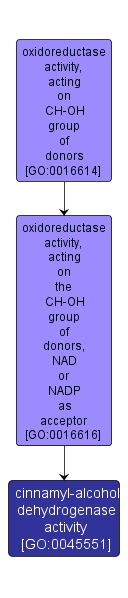 GO:0045551 - cinnamyl-alcohol dehydrogenase activity (interactive image map)