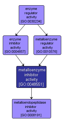GO:0048551 - metalloenzyme inhibitor activity (interactive image map)