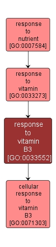 GO:0033552 - response to vitamin B3 (interactive image map)
