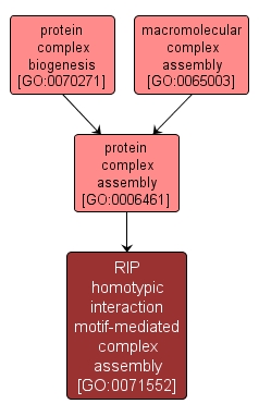 GO:0071552 - RIP homotypic interaction motif-mediated complex assembly (interactive image map)
