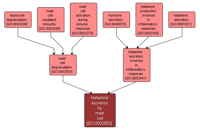 GO:0002553 - histamine secretion by mast cell (interactive image map)