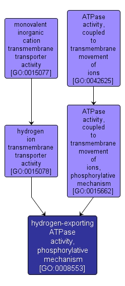 GO:0008553 - hydrogen-exporting ATPase activity, phosphorylative mechanism (interactive image map)