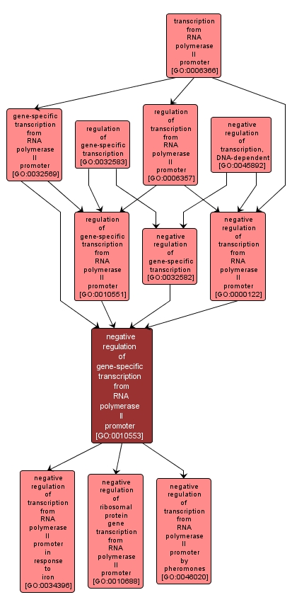 GO:0010553 - negative regulation of gene-specific transcription from RNA polymerase II promoter (interactive image map)