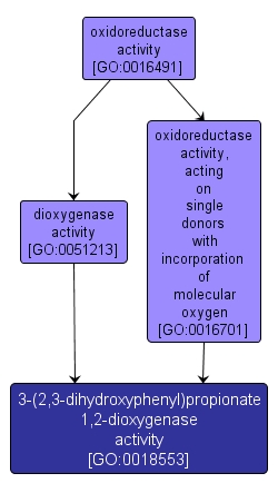 GO:0018553 - 3-(2,3-dihydroxyphenyl)propionate 1,2-dioxygenase activity (interactive image map)