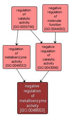 GO:0048553 - negative regulation of metalloenzyme activity (interactive image map)