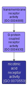 GO:0070553 - nicotinic acid receptor activity (interactive image map)