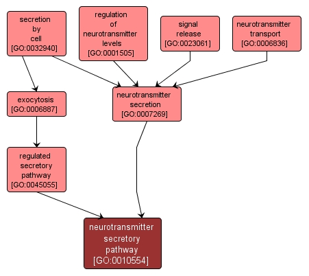 GO:0010554 - neurotransmitter secretory pathway (interactive image map)