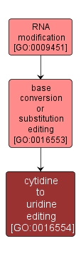 GO:0016554 - cytidine to uridine editing (interactive image map)