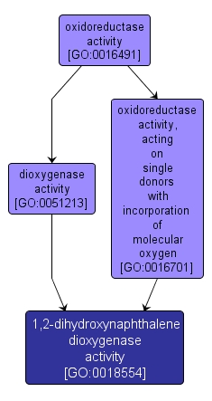 GO:0018554 - 1,2-dihydroxynaphthalene dioxygenase activity (interactive image map)