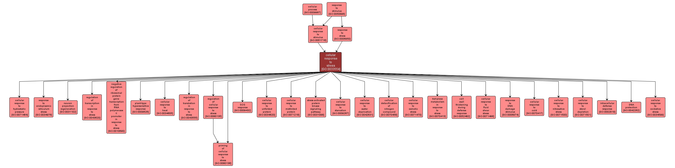 GO:0033554 - cellular response to stress (interactive image map)