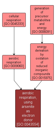 GO:0043554 - aerobic respiration, using arsenite as electron donor (interactive image map)