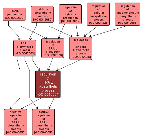 GO:0045554 - regulation of TRAIL biosynthetic process (interactive image map)
