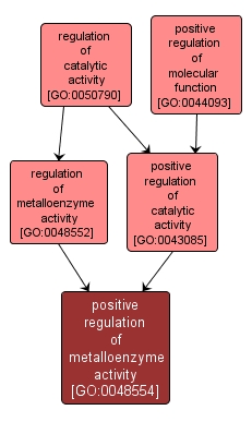 GO:0048554 - positive regulation of metalloenzyme activity (interactive image map)