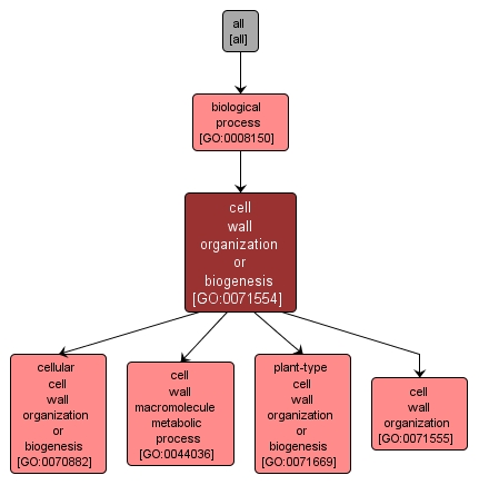 GO:0071554 - cell wall organization or biogenesis (interactive image map)