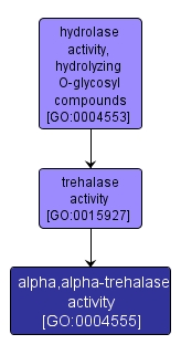 GO:0004555 - alpha,alpha-trehalase activity (interactive image map)