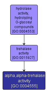 GO:0004555 - alpha,alpha-trehalase activity (interactive image map)