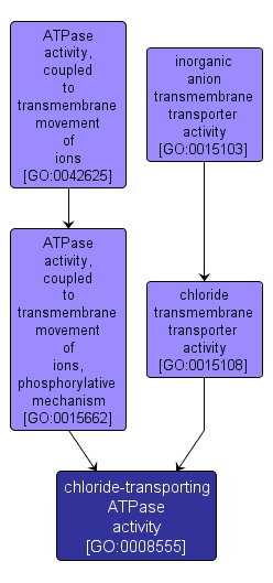 GO:0008555 - chloride-transporting ATPase activity (interactive image map)