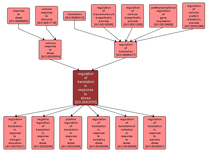 GO:0043555 - regulation of translation in response to stress (interactive image map)